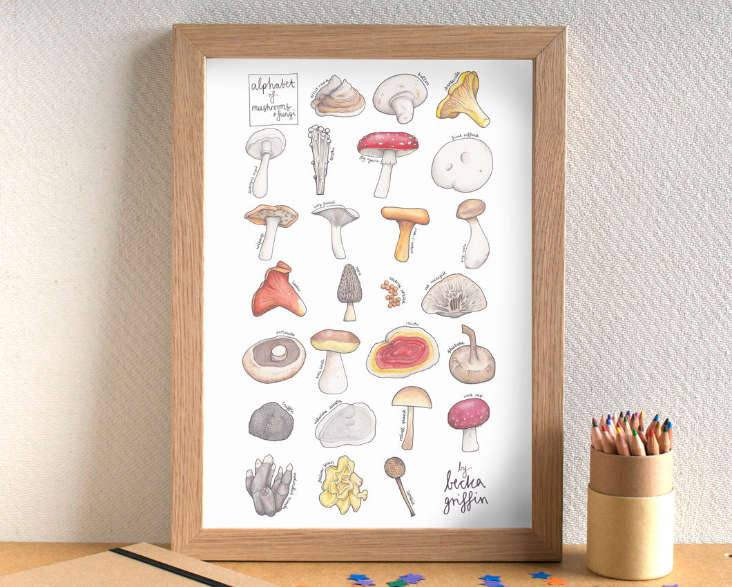 Mushroom Alphabet Art Print