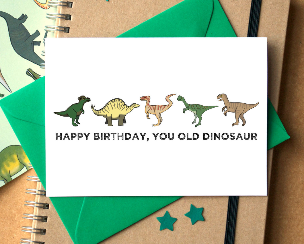 You Old Dinosaur Funny Birthday Card